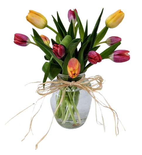 Tulip Love VM-1177