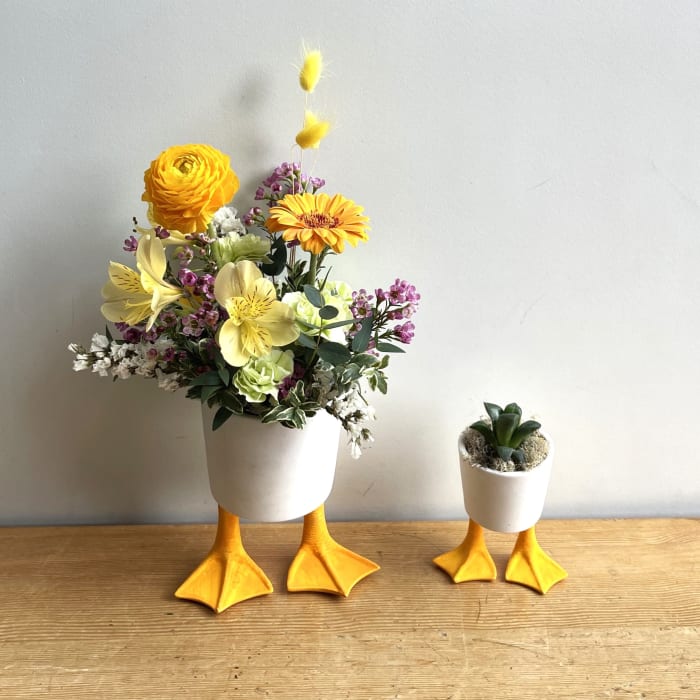 Just Ducky