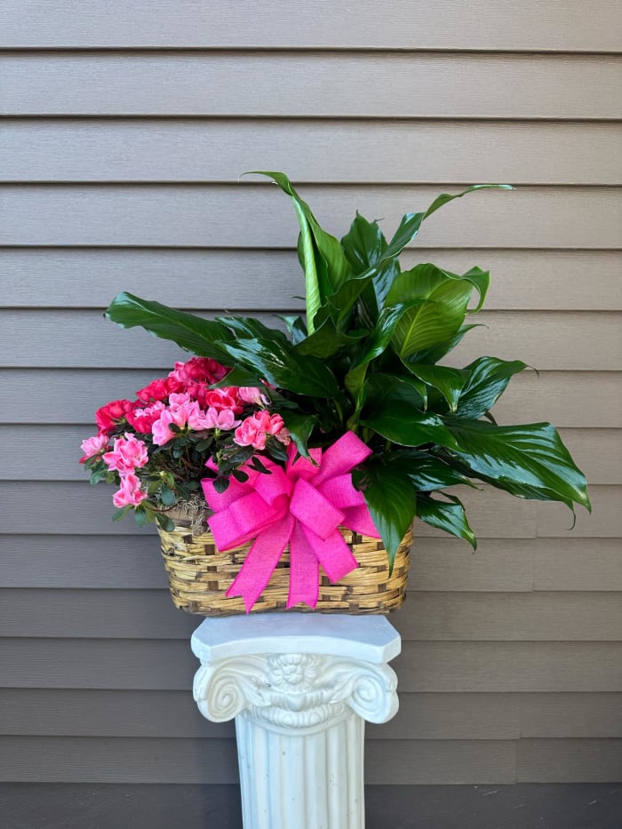 Multi Plant Wicker Basket