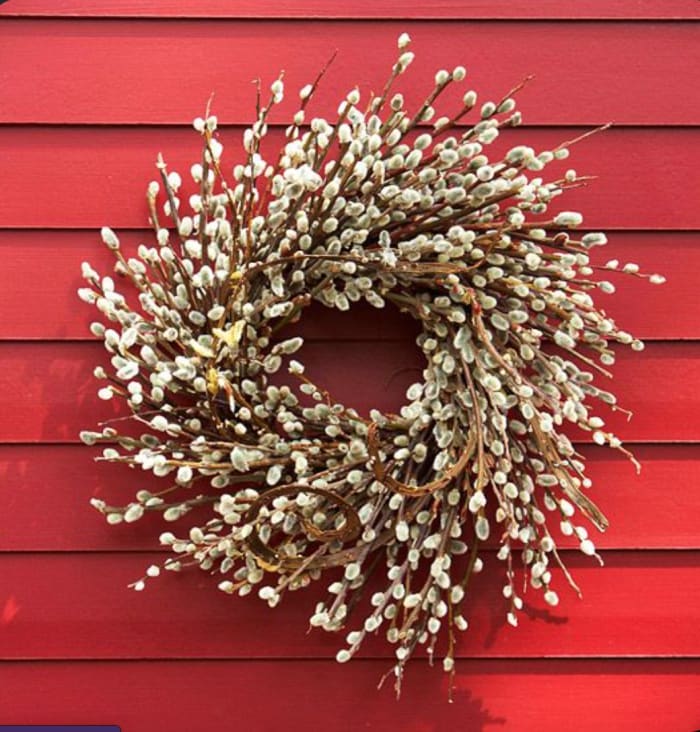 Pussy Willow Wreath