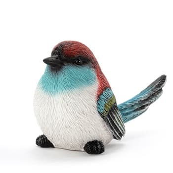 Red Cap Bird