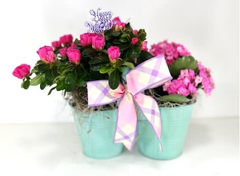 Double Planter for Mom