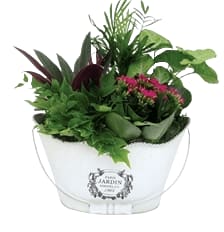 Ruth Oval Planter