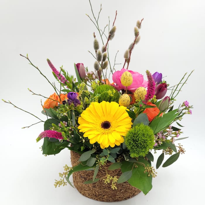 Sunshine Meadow Bloom