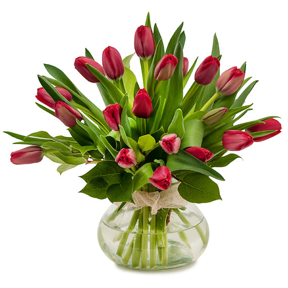 Just Tulips