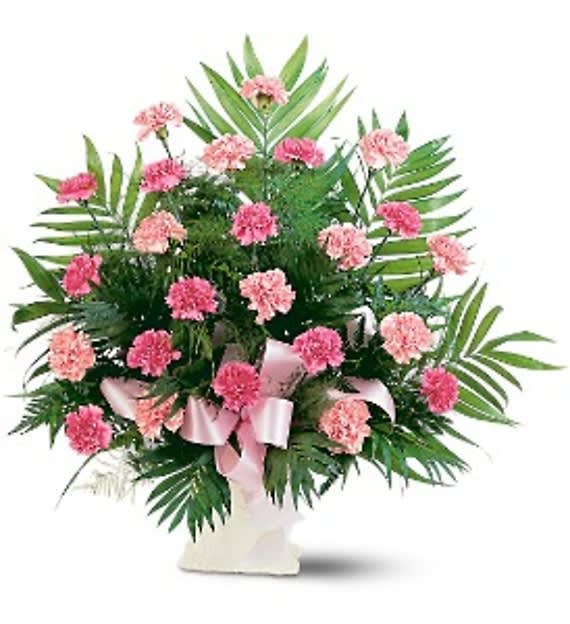Classic Carnations