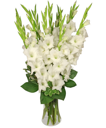 TRANQUIL LIGHT  WHITE GLADIOLUS VASE