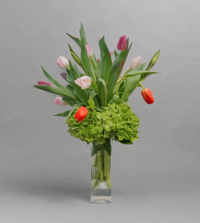PA-13 Arreglo de hortensias y tulipanes