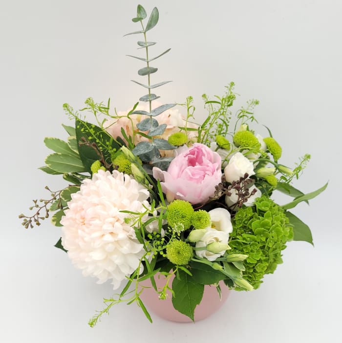 Soft Petal Embrace