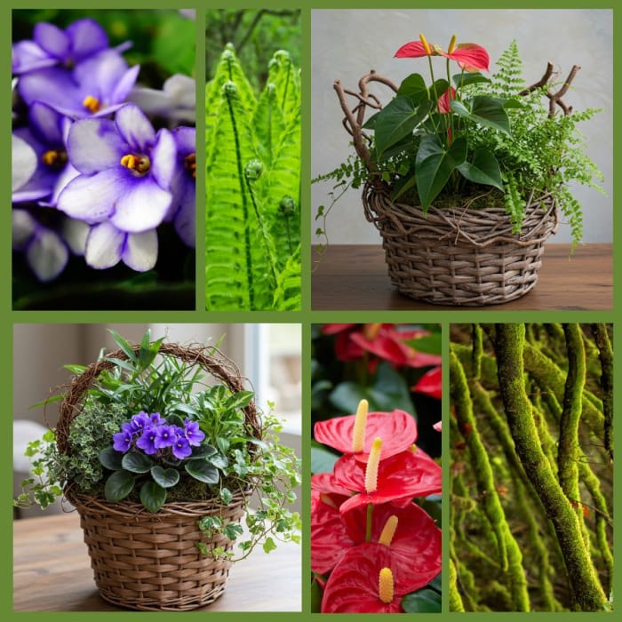 Blooming Planter - Plants & Botanicals