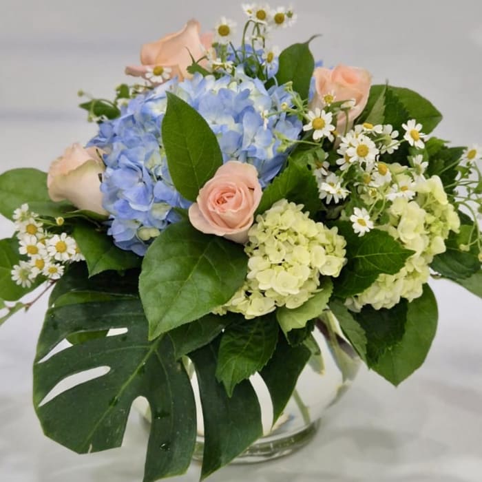blueblossoms
