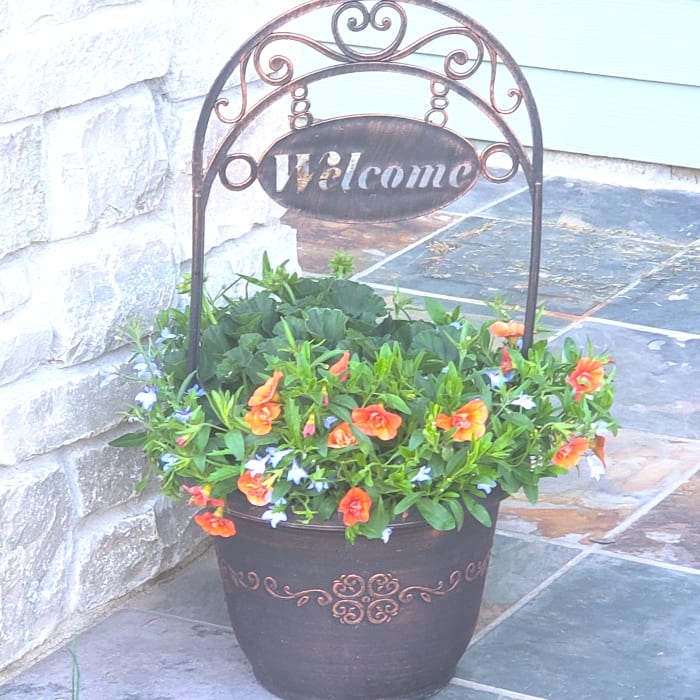 Welcome Supertunia Planter