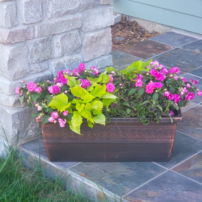 Large Mixed Annual Deck Planter