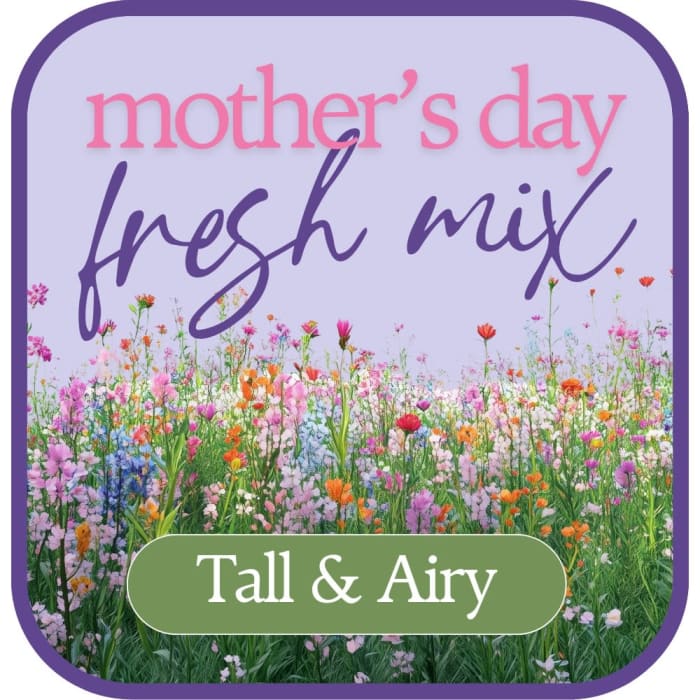 Designer's Choice Tall and Airy
