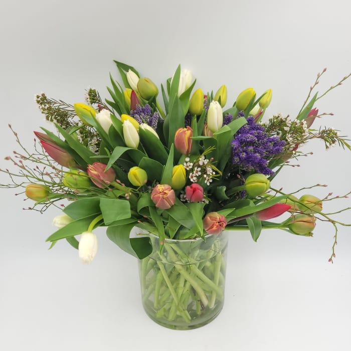 Tulip Meadow Delight