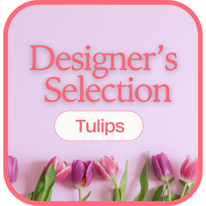 Designer's Selection Tulips