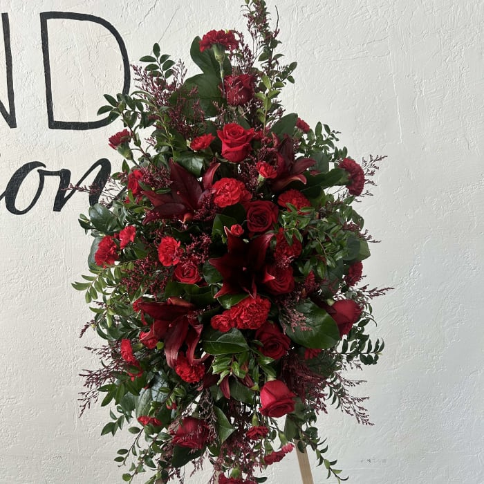 Standing All red Spray