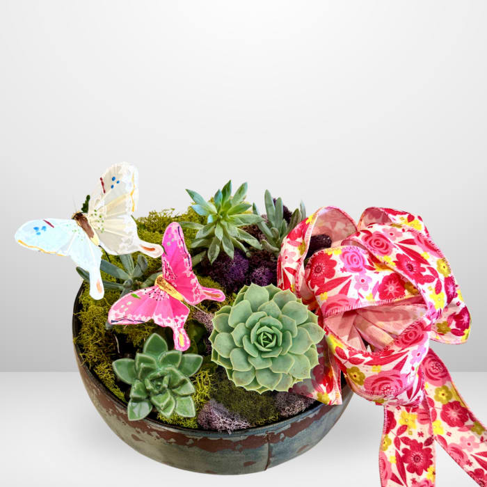 Summer Succulent Garden