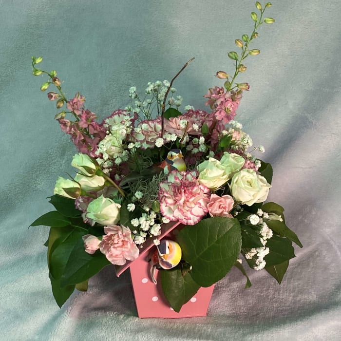 There is a New Addition to the Nest