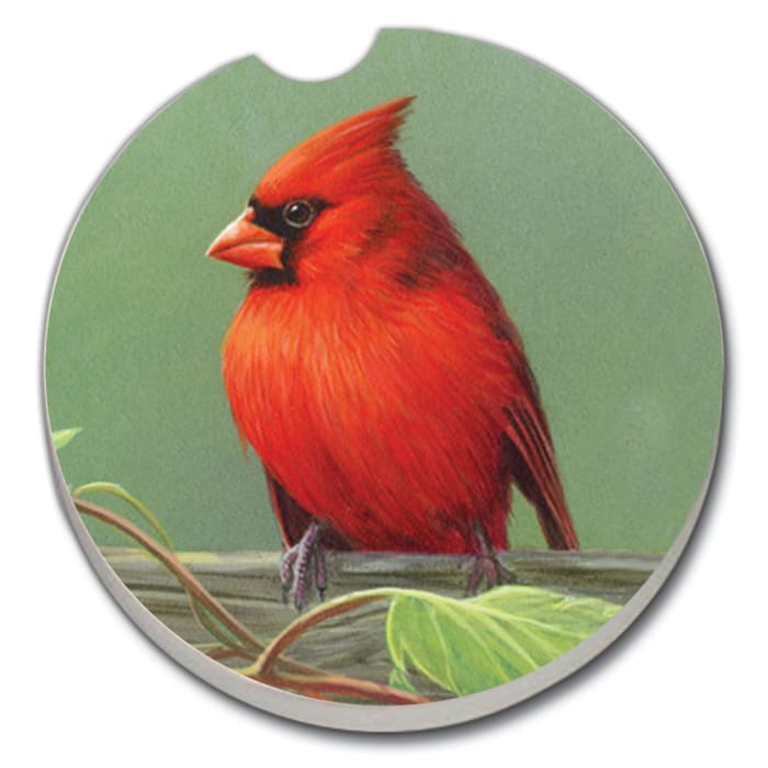Car Coaster - Railbird