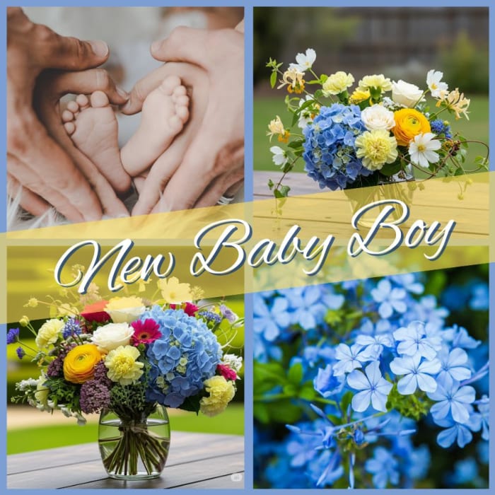 Baby Boy - Designer Exclusive