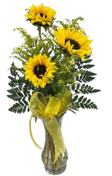 Sunflower Simplicity V-1467