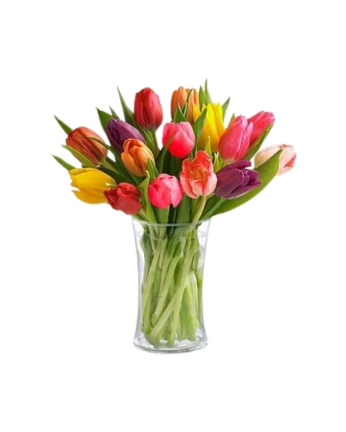 Tulips in a Vase
