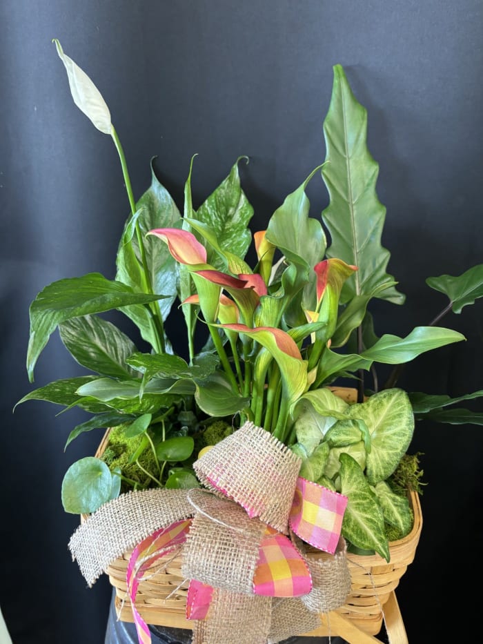 Seasonal Blooming Basket