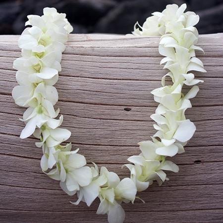 Double Orchid Lei - White