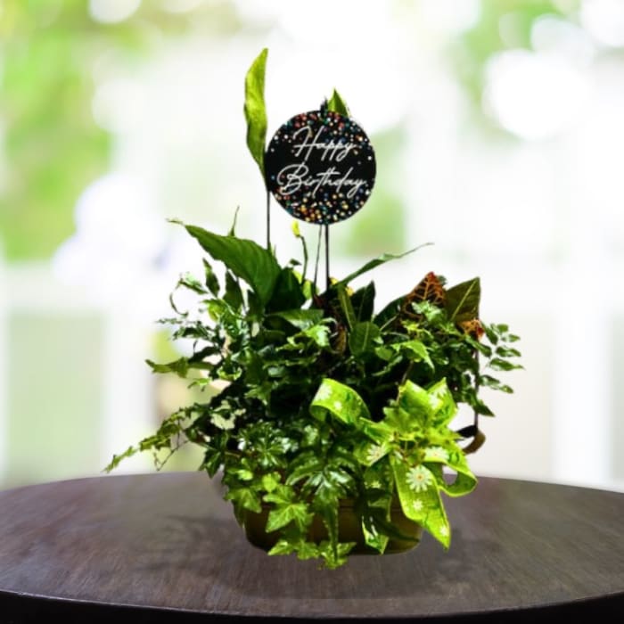 Tin Birthday Garden - Planter