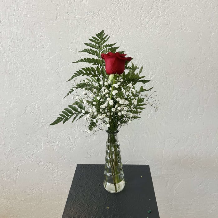 single rose in vase
