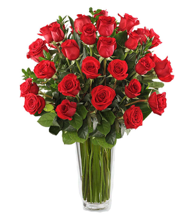 2 Dozen Red Roses