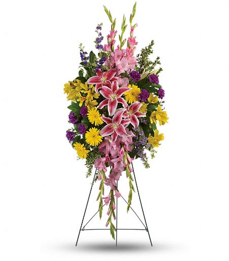 Rainbow Of Remembrance Spray