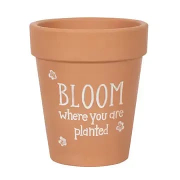 Bloom Pot