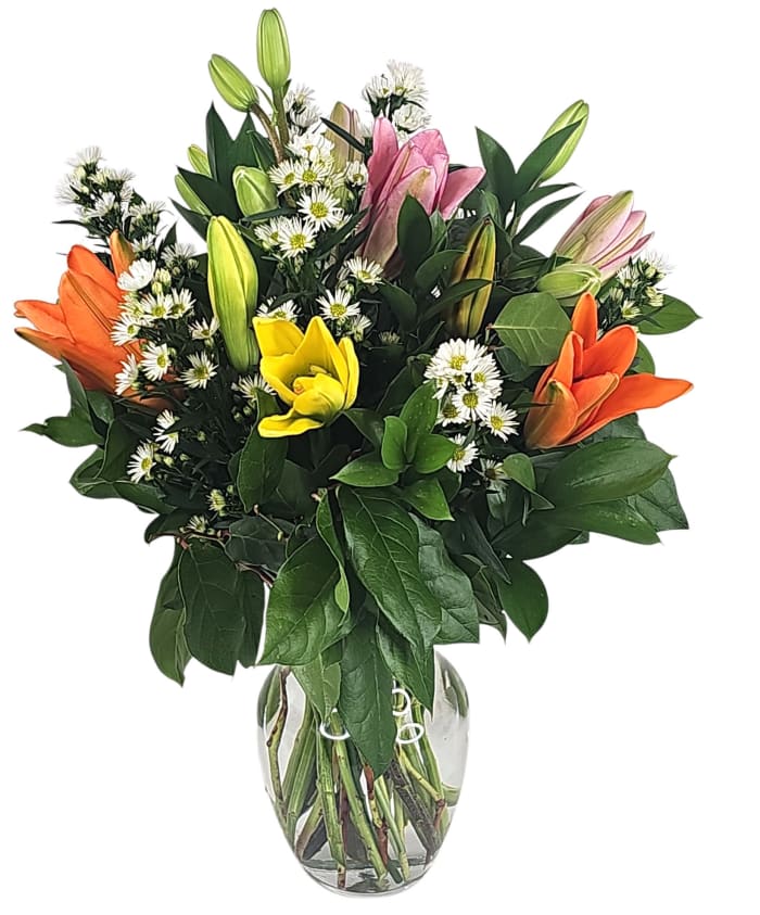 Colorful L.A. Lilies