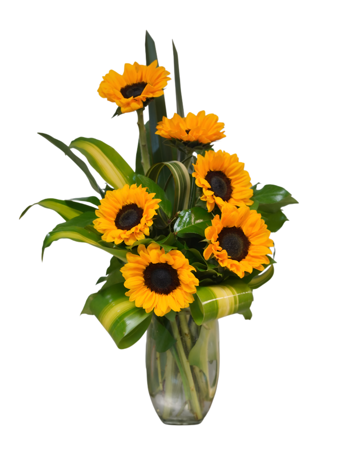 GT-6 Arreglo de girasoles
