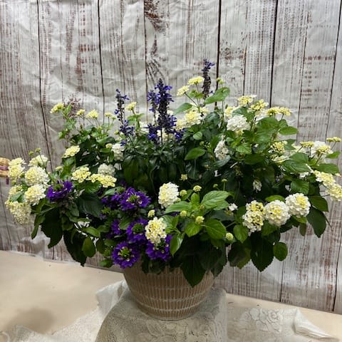 Patio Pots