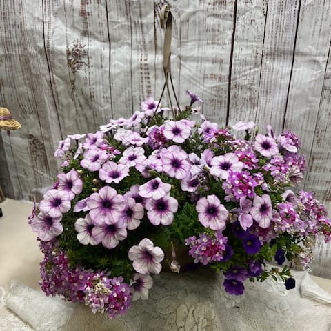 Mixed Hanging Basket