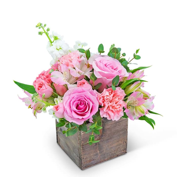 Pink Petal-Pusher