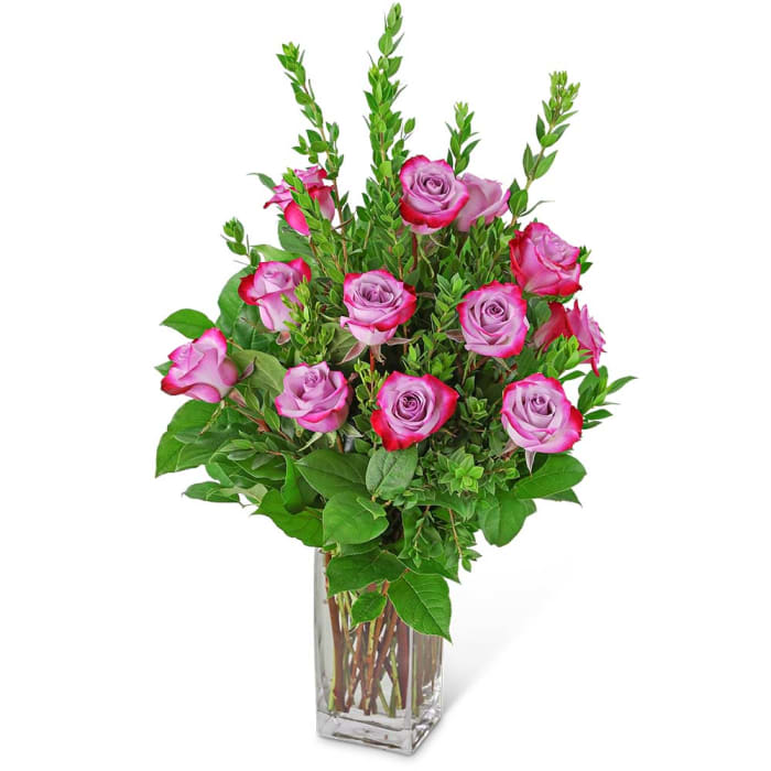 Vibrant Lavender Roses