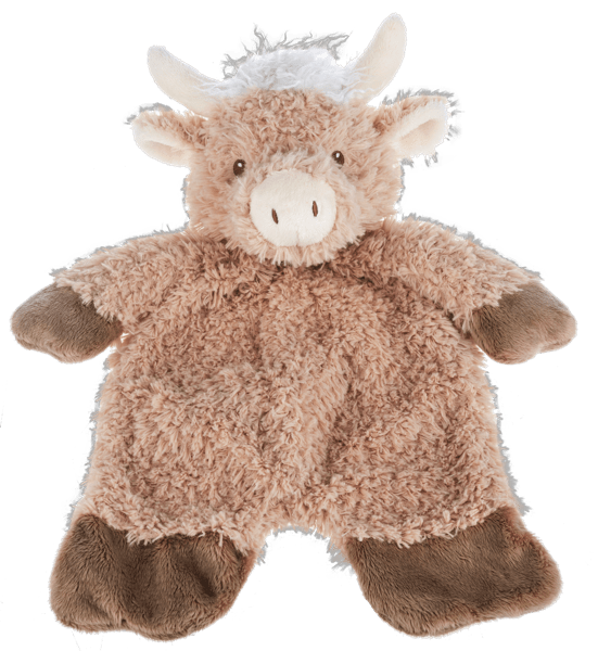 Highland Cow