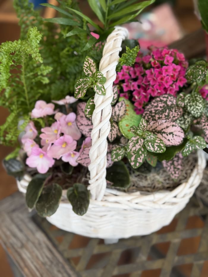 European Basket W/ Violets
