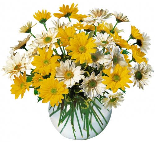 Upsy Daisy EBF-343
