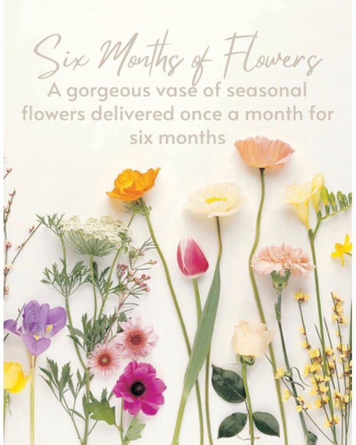 Six Months of Flowers