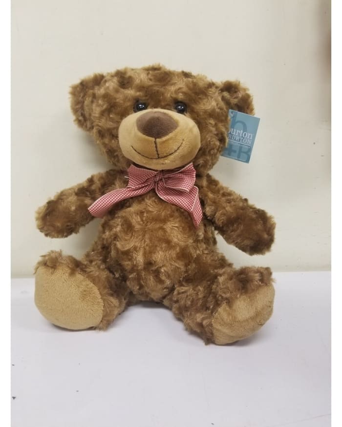 11" Steven Brown Bear