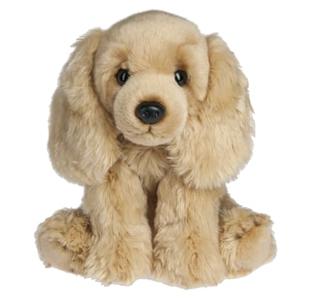 Cocker Spaniel