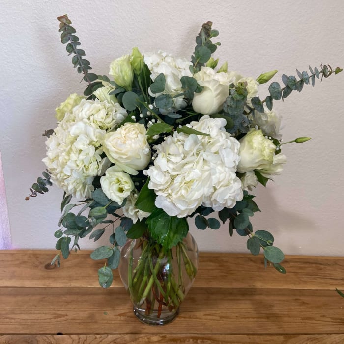 Classy Hydrangeas