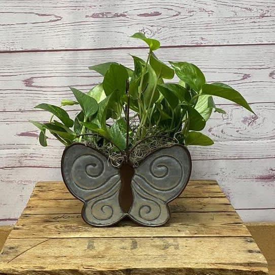 Fluttering Foliage Butterfly Planter