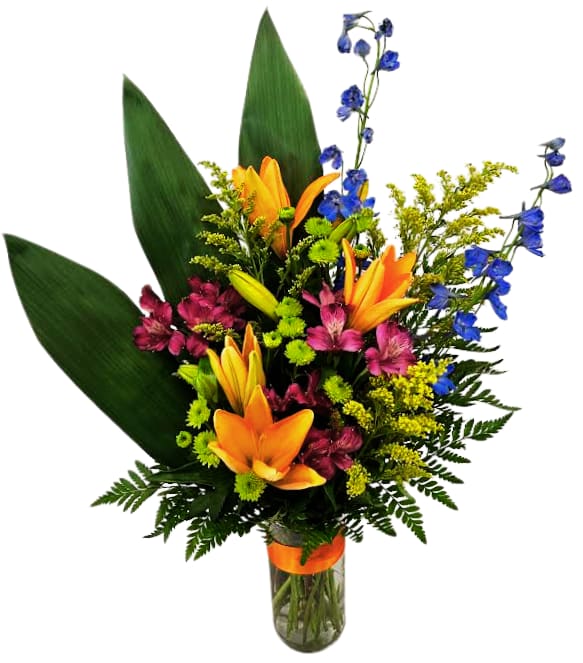 Tropic Like It's Hot! V-1476