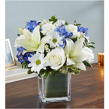 Healing Tears™ Blue And White